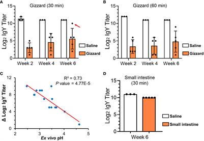 Ex Vivo Evaluation of Egg Yolk IgY Degradation in Chicken Gastrointestinal Tract